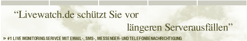 Serverüberwachung